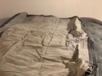 Coleman Twin Air Mattress