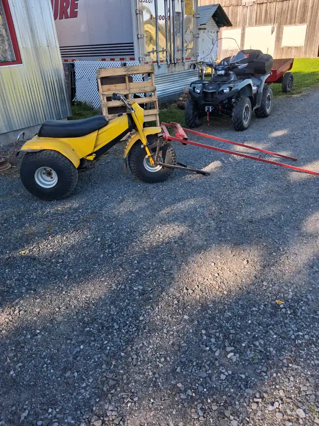 voiture et attelage complait pour poney
