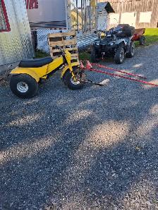 voiture et attelage complait pour poney