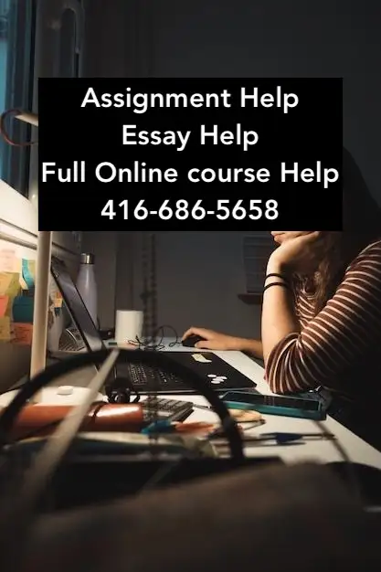Essay Support | Law, Criminology, Sociology, Nursing, Psychology