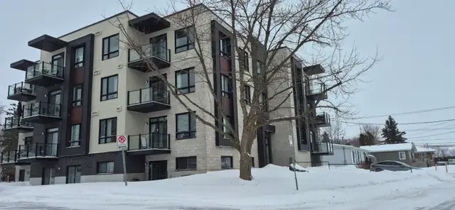 Logement à louer disponible (idéal retraité autonome)