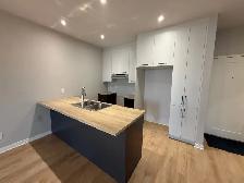 Logement à louer disponible (idéal retraité autonome) - Photo 3