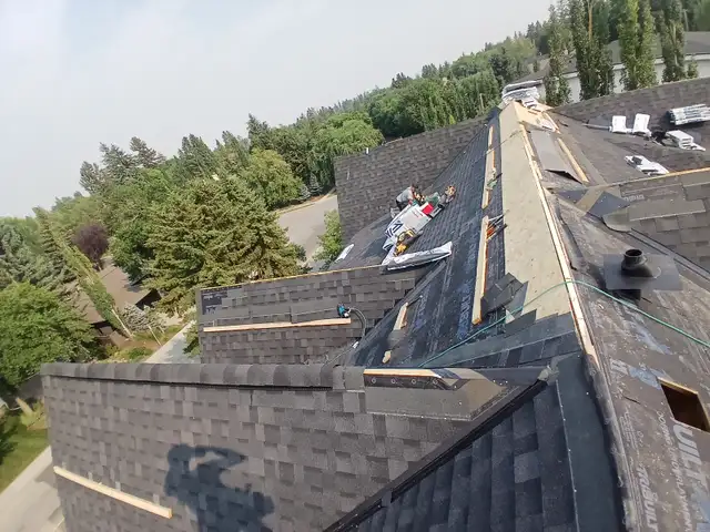 Roofer/Crew  Looking for work
