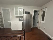 Fully furnished master bedroom and bathroom Richmond Hill - Photo 3