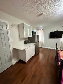 Fully furnished master bedroom and bathroom Richmond Hill - Photo 5