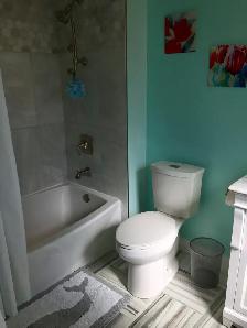 Fully furnished master bedroom and bathroom Richmond Hill - Photo 9