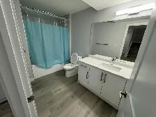$1300 - One Semi-Furnished Newly Basement Available