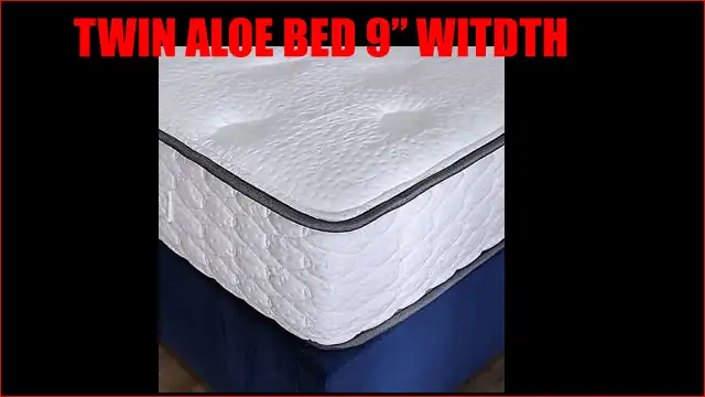 Metal Bed Frame &Twin Aloe 9" Thick Bed
