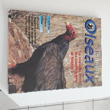 4 VOLUMES ADO D'HARMONIE D'OISEAU, $4.00 CHACUN OU $15.00 LES 4 - Photo 3