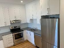 4 1/2 Plateau Mont-Royal - Photo 4