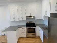 4 1/2 Plateau Mont-Royal - Photo 5