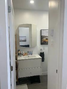 4 1/2 Plateau Mont-Royal - Photo 6