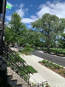 4 1/2 Plateau Mont-Royal - Photo 9