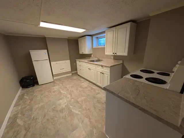 1 Bedroom Basement Suite