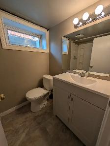 1 Bedroom Basement Suite - Photo 4