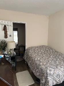 Bachelor Suite for rent - Photo 2