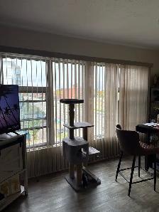 Bachelor Suite for rent - Photo 3
