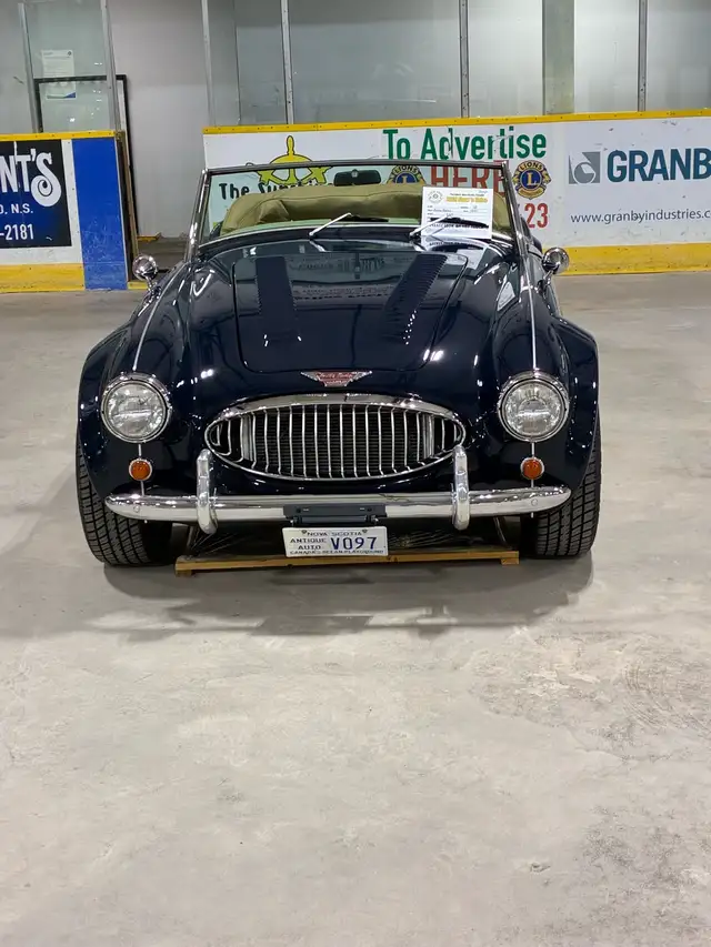 Austin Healey