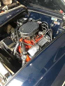 Austin Healey - Photo 3