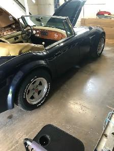 Austin Healey - Photo 5