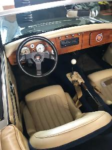 Austin Healey - Photo 6
