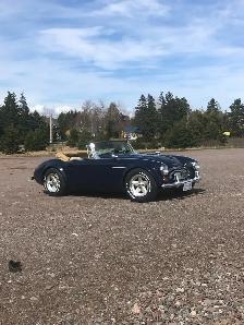 Austin Healey - Photo 10
