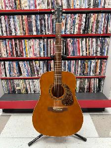 Guitare acoustique Norman