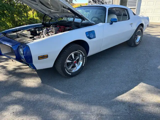 1976 trans am