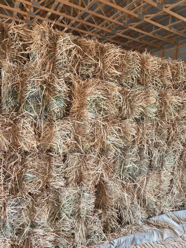 Small Hay bales For Sale