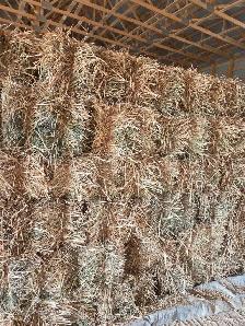 Small Hay bales For Sale