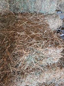 Small Hay bales For Sale - Photo 2