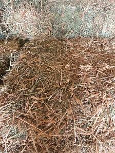 Small Hay bales For Sale - Photo 3