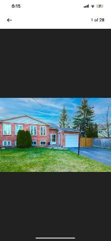 1 Bedroom Basement Apart. for Rent in Grapeview( St.Catharines)