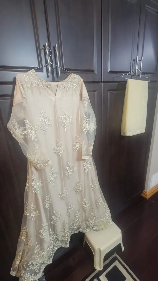 Beautiful Pakistani Maxi / Long Dress