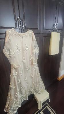 Beautiful Pakistani Maxi / Long Dress