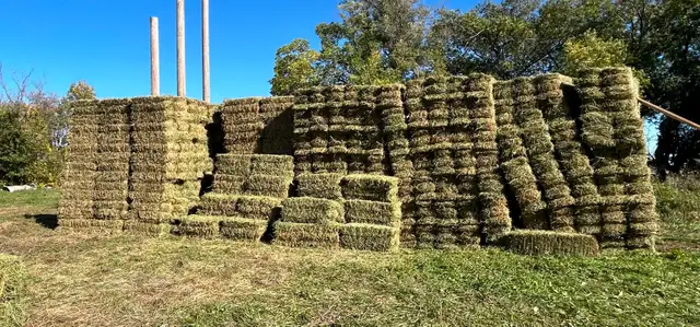 2nd cut Alfalfa Squares and Rounds