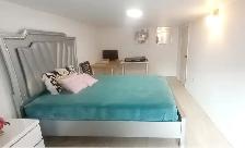 Furnished Room for Rent - Downtown Toronto, Minutes to Ossington - Photo 3