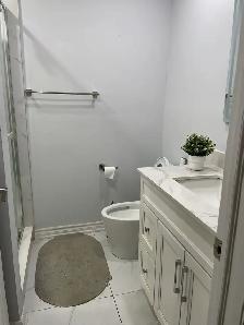 Furnished Room for Rent - Downtown Toronto, Minutes to Ossington - Photo 7