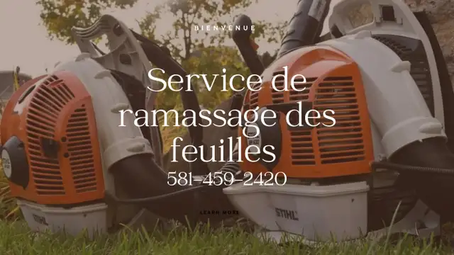 Ramassage des feuilles