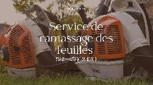 Ramassage des feuilles
