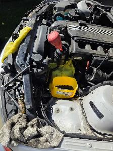 Experienced Backyard Mechanic