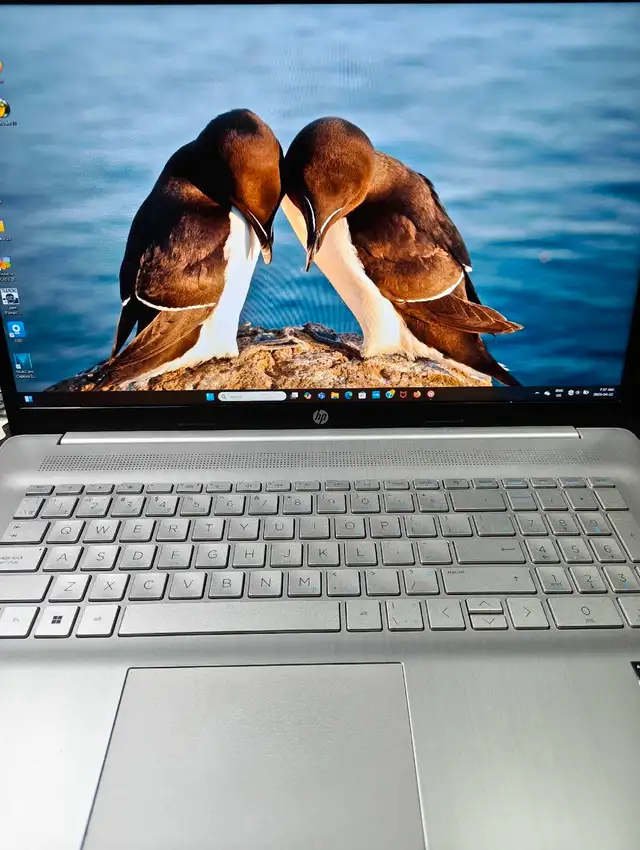 17.3' HP 17-0007 256gb SSD ram laptop with 6tb external drive