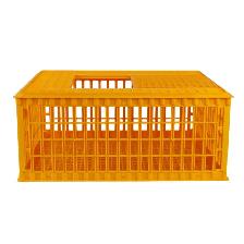 Plastic Poultry Chicken Transport Coop Crate Cage 170599