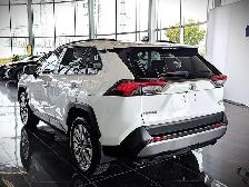 2019 Toyota RAV4 Limited AWD - Photo 9