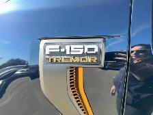 2023 Ford F-150 Tremor 4WD SuperCrew 5.5' Box for sale - Photo 7