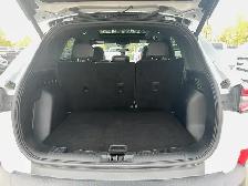 2025 Ford Escape ST-Line AWD for sale - Photo 6