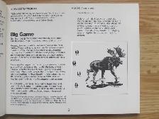 NOTES ON NOVA SCOTIA WILDLIFE - 1987 - Photo 4