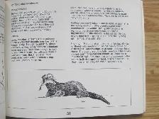 NOTES ON NOVA SCOTIA WILDLIFE - 1987 - Photo 5