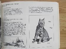 NOTES ON NOVA SCOTIA WILDLIFE - 1987 - Photo 7