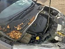 2014 Ford Escape - Photo 29